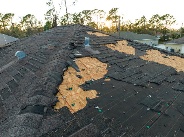 Best Roof Coating and Sealing  in Rio Vista, TX